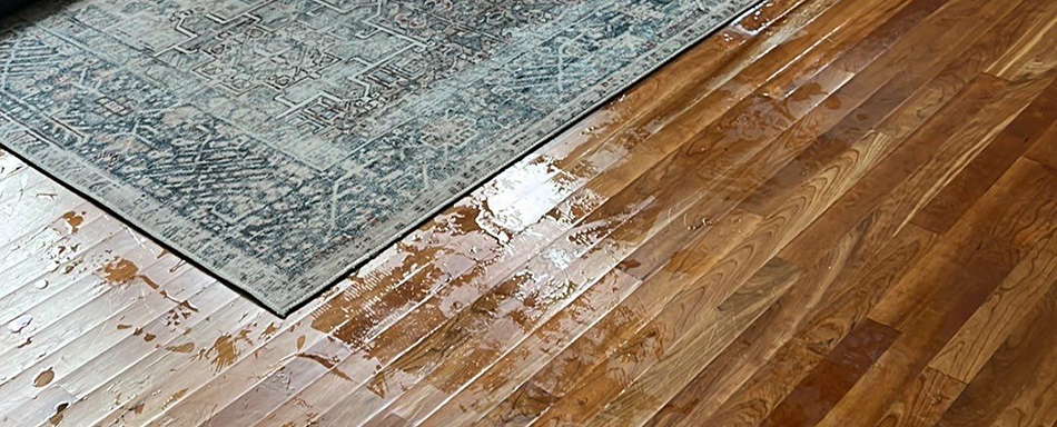 steps to take with water damage