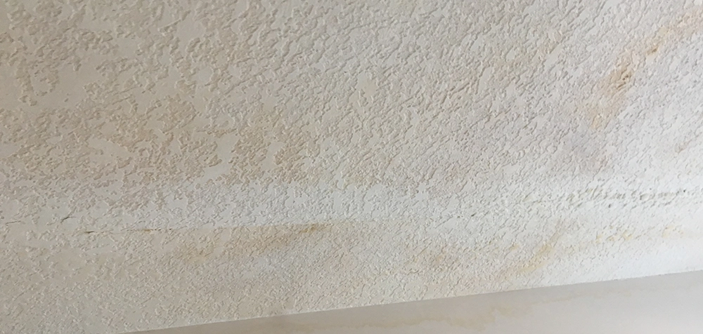 signs of water damage - ceiling stains