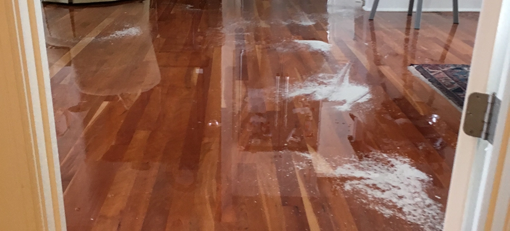 signs of water damage - standing water